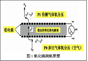 核酸检测运用了什么原理_核酸检测的原理(2)