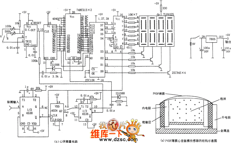 脉搏的原理是什么_人的脉搏长什么样子(2)
