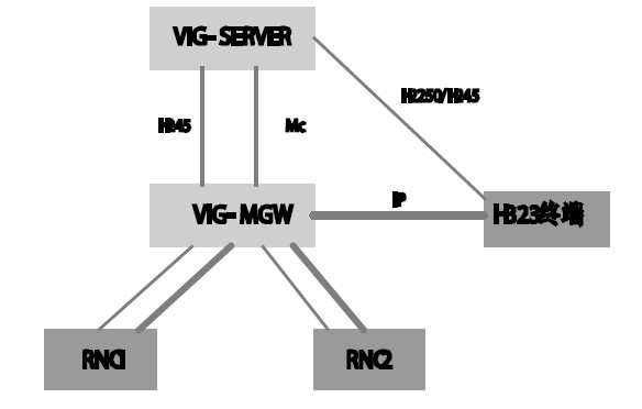 图2 内置VIG 组网