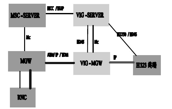 图1 外置VIG 组网
