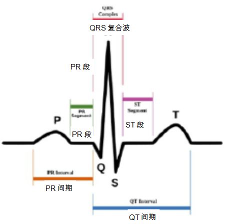 心电图中的P-QRS-T波