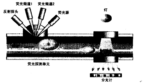 流体分析仪构造