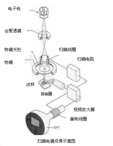 扫描电镜结构图