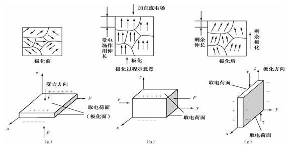 压电陶瓷的极化过程和压电特性