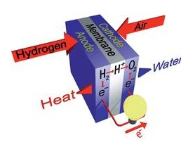 质子交换膜燃料电池的原理