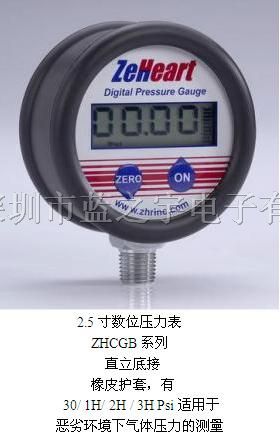 供应应用于恶劣环境下的数字气体压力表