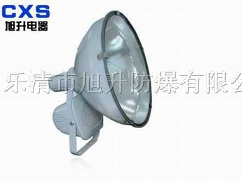 供应CZT6900*水*尘*震投光灯
