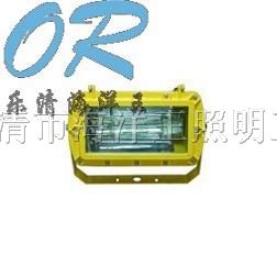 供应BFC8100 *爆外场强光泛光灯海洋*