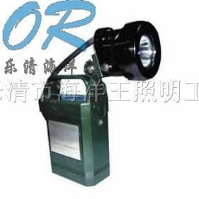 供应IW5120 便携式免维护强光*爆工作灯 海洋*