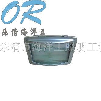 供应*眩应急通路灯 海洋* NSE9720