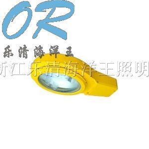 供应BLC8610*爆道路灯