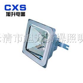 供应CNFC9100*眩棚顶灯