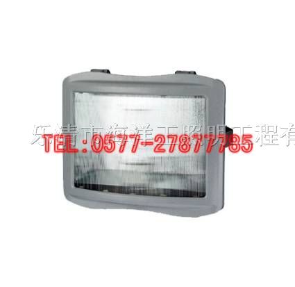 供应NSC9720海洋*NSC9720 J150W 70W海洋*灯具