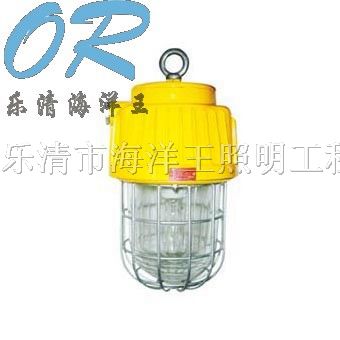供应DGS70/127B（B）矿用隔爆型泛光灯