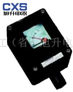 供应BXK8050 CBYB8060*爆*腐电表（e）
