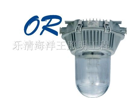 供应海洋*,乐清海洋*,NFC9180,*眩泛光灯