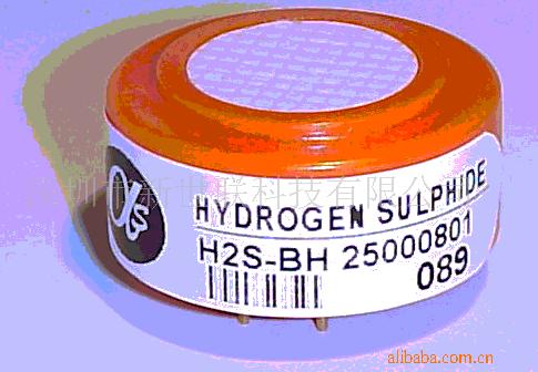 大电流输出电化学硫化氢传感器H2S-BH