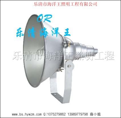 供应NTC9210*震型投光灯 海洋*照明