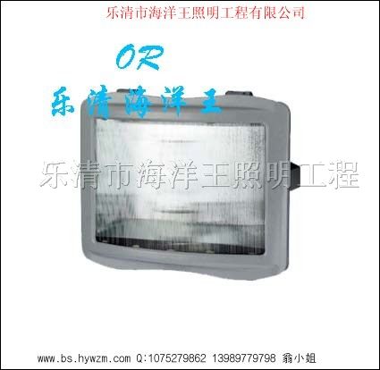 供应NSE9720*眩应急通路灯NSE9720