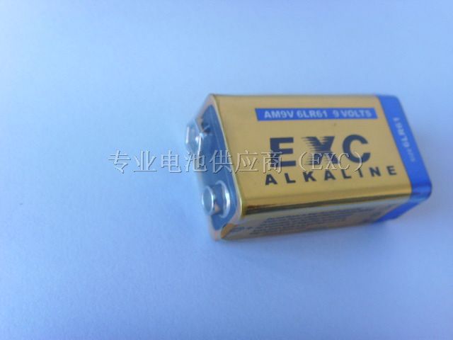 供应9V,6LR61碱性电池