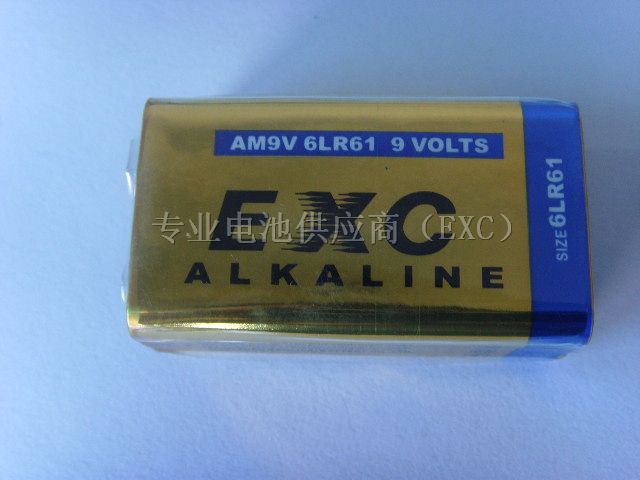 供应探测器备用电源9V叠层碱性电池