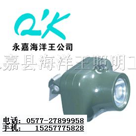 供应IW5110固态强光*爆头灯◆*爆头灯