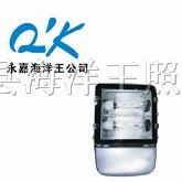 *型热启动泛光灯 NFC9131 海洋**泛光灯