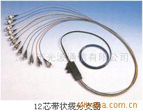 供应12芯束状光纤活动分支器(图)