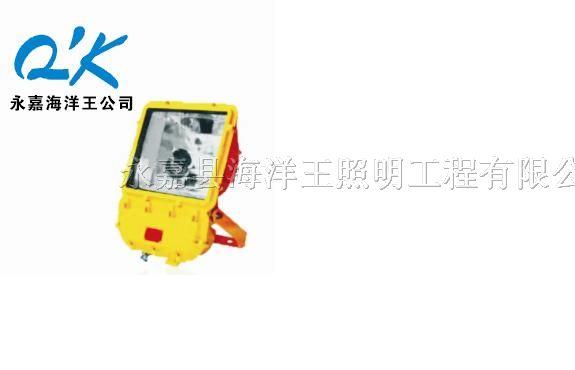 供应BFC8110*爆泛光灯