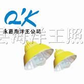 供应BLC8600*爆道路（平台）灯