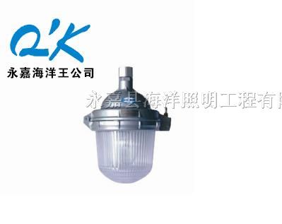供应海洋*NFE9112-J35*眩应急灯