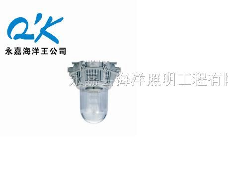 供应海洋*NFC9180/NX长寿*眩顶灯