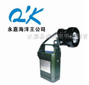 供应海洋*IW5120便携式免维护强光*爆工作灯