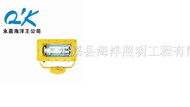供应海洋*BFC8100-J400价格，BFC8100*爆泛光灯