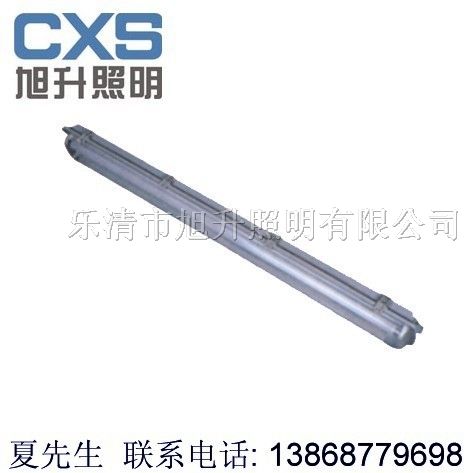 供应CBQY-DIP系列粉尘*爆*腐荧光灯，荧光灯