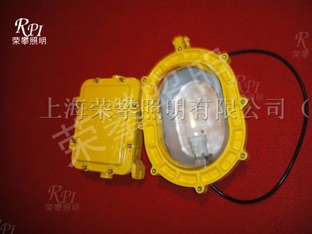 供应BFC8120,*FC8120 内场强光*爆灯 BFE8120