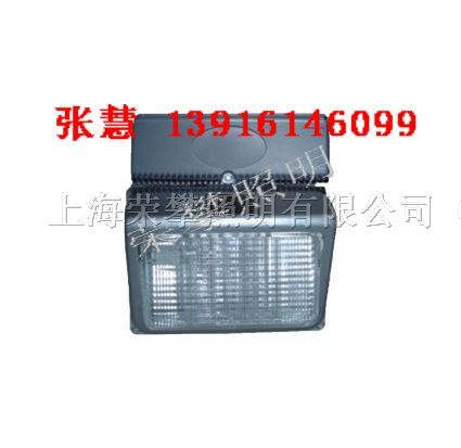 供应NSC9730，SNSC9730 *眩通路灯 NSC9700