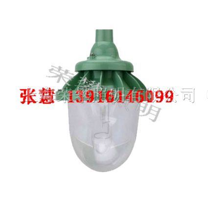 供应NFC9132，SNFC9132 *水*震泛光灯 NFC9112