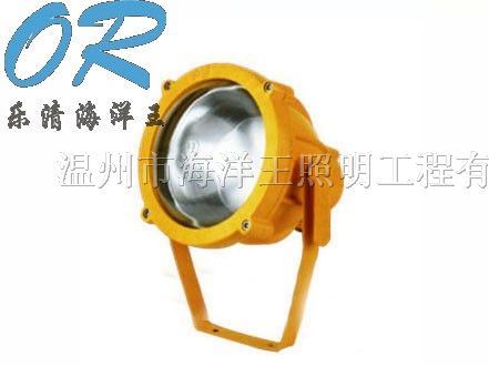 供应海洋*BTC8200/BTC8200A*爆投光灯