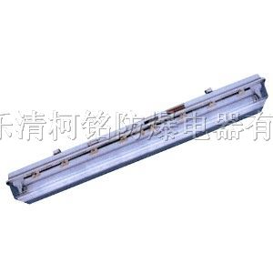 供应BJY系列*爆洁净荧光灯（ⅡC）