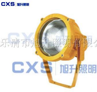 供应CBTC8200*爆投光灯