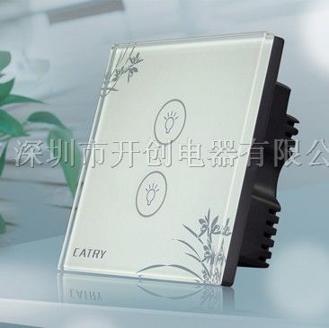 双路平板开关(兰白)