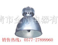 供应NGC9860*场馆顶灯
