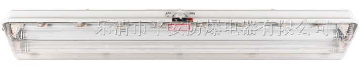 供应CBQY系列*爆*腐全塑荧光灯