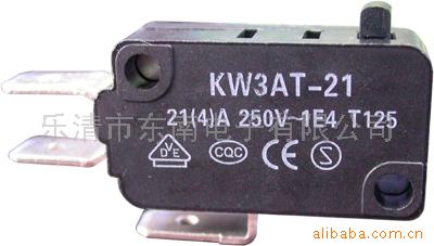 供应21A大电流微动开关(图)