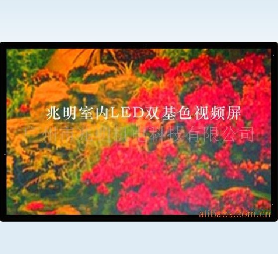 供应兆明科技室内双基色LED显示屏