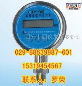 供应0.2级 精密数字压力表