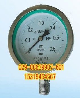 供应YTF-100 全不锈钢压力表,不锈钢压力表YTF-100