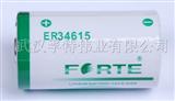 锂亚电池3.6V ER34615 ER34615
