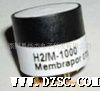 氢气传感器 H2/M-1000